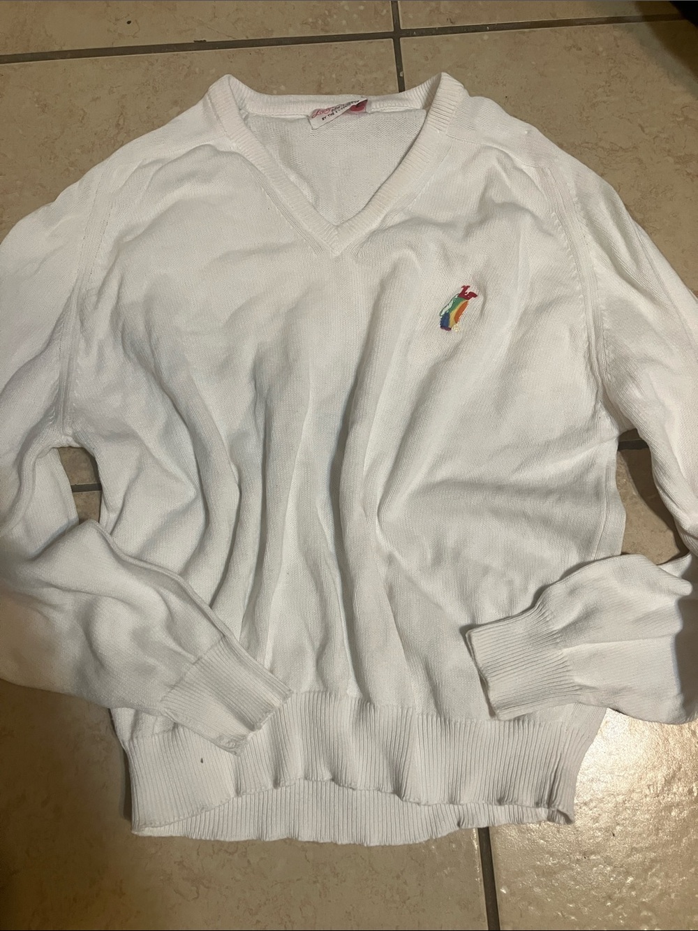 White V-Neck Men's Sweater with Embroidered Multicolor Logo